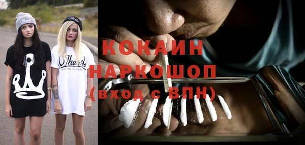 хмурый Алзамай