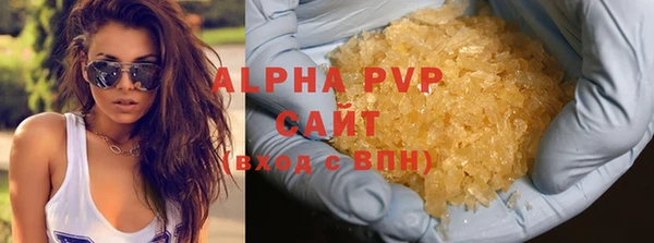 ГАЛЛЮЦИНОГЕННЫЕ ГРИБЫ Пересвет