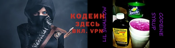 хмурый Алзамай