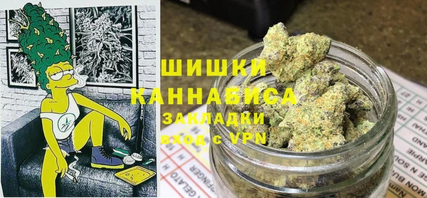 хмурый Алзамай