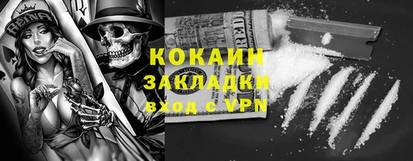 крисы Алексин