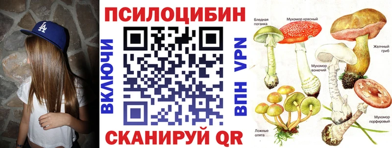 mega ссылка  Кыштым  Псилоцибиновые грибы GOLDEN TEACHER 